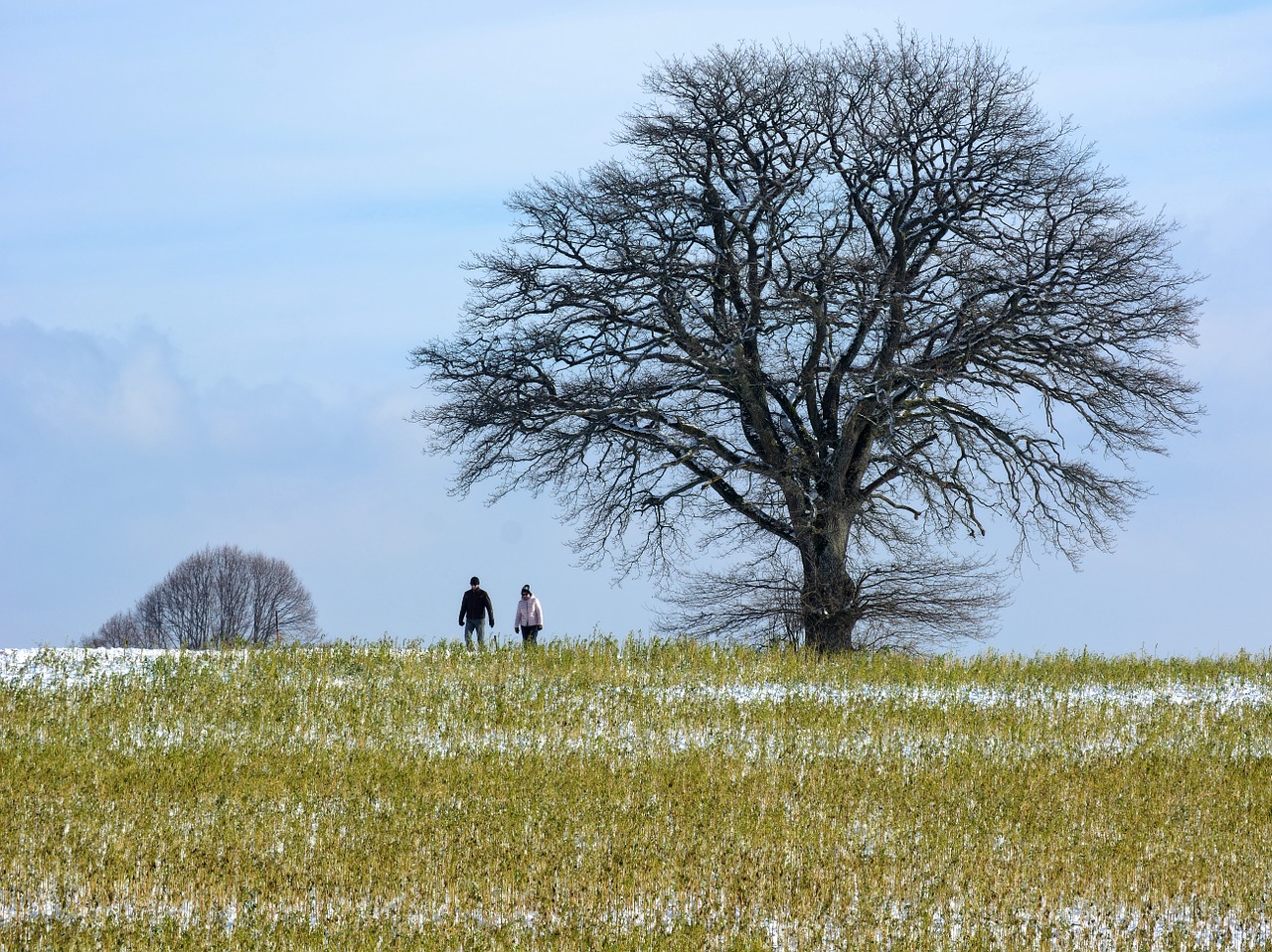 winter snow wintry free photo