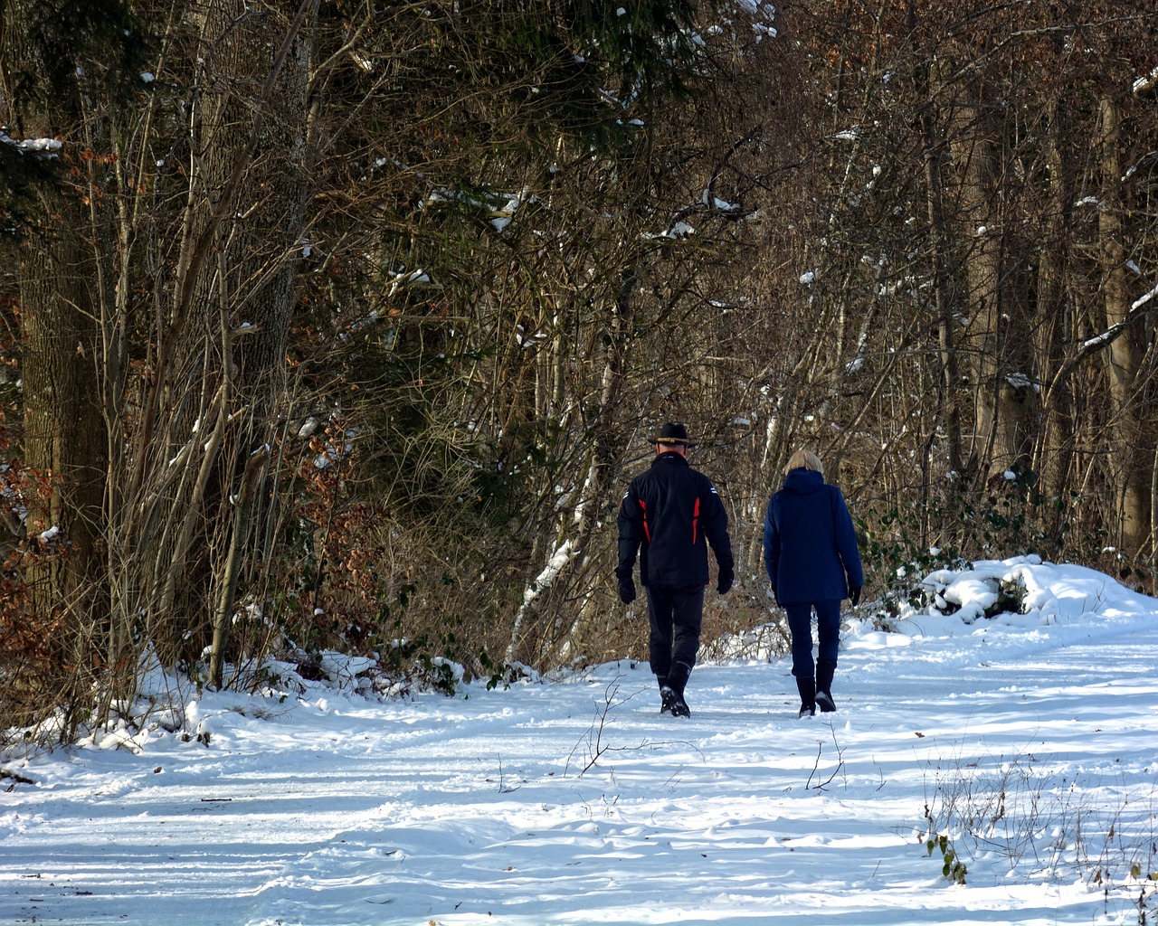 winter snow forest free photo