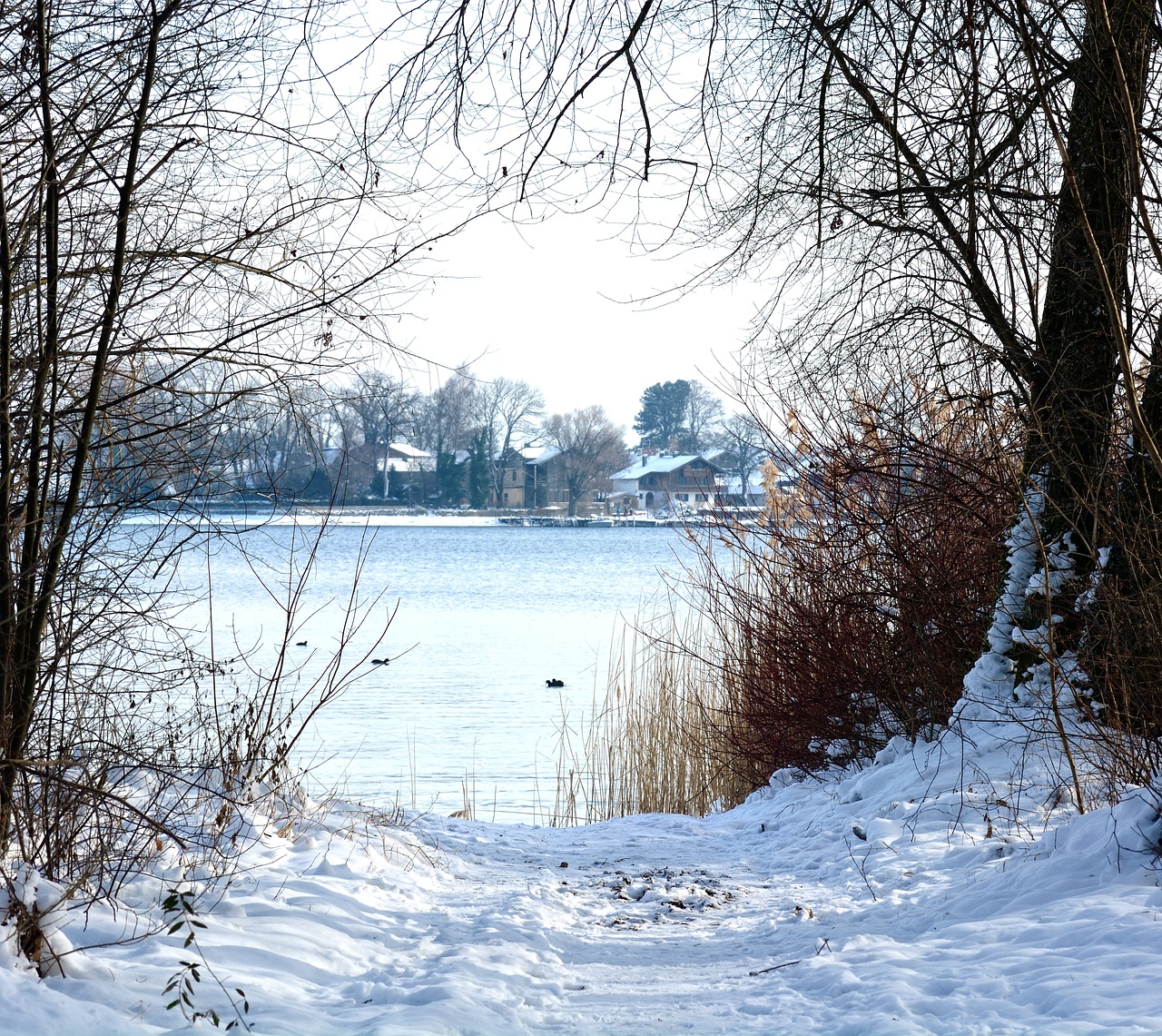 winter snow lake free photo