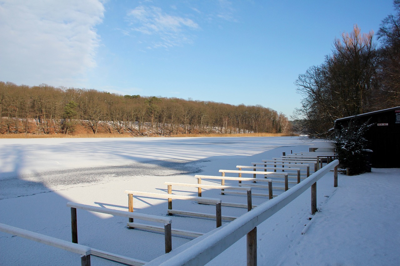 winter lake wintry free photo