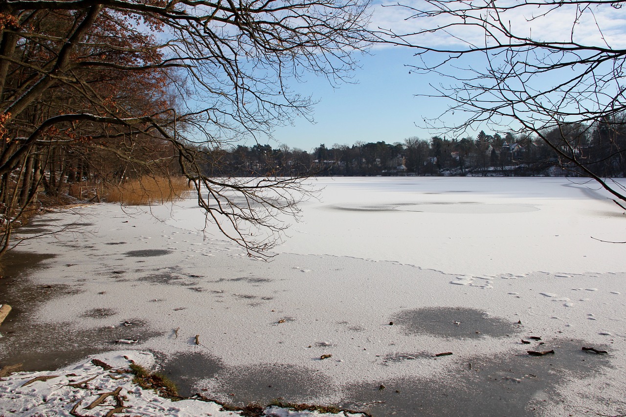 winter lake frozen free photo