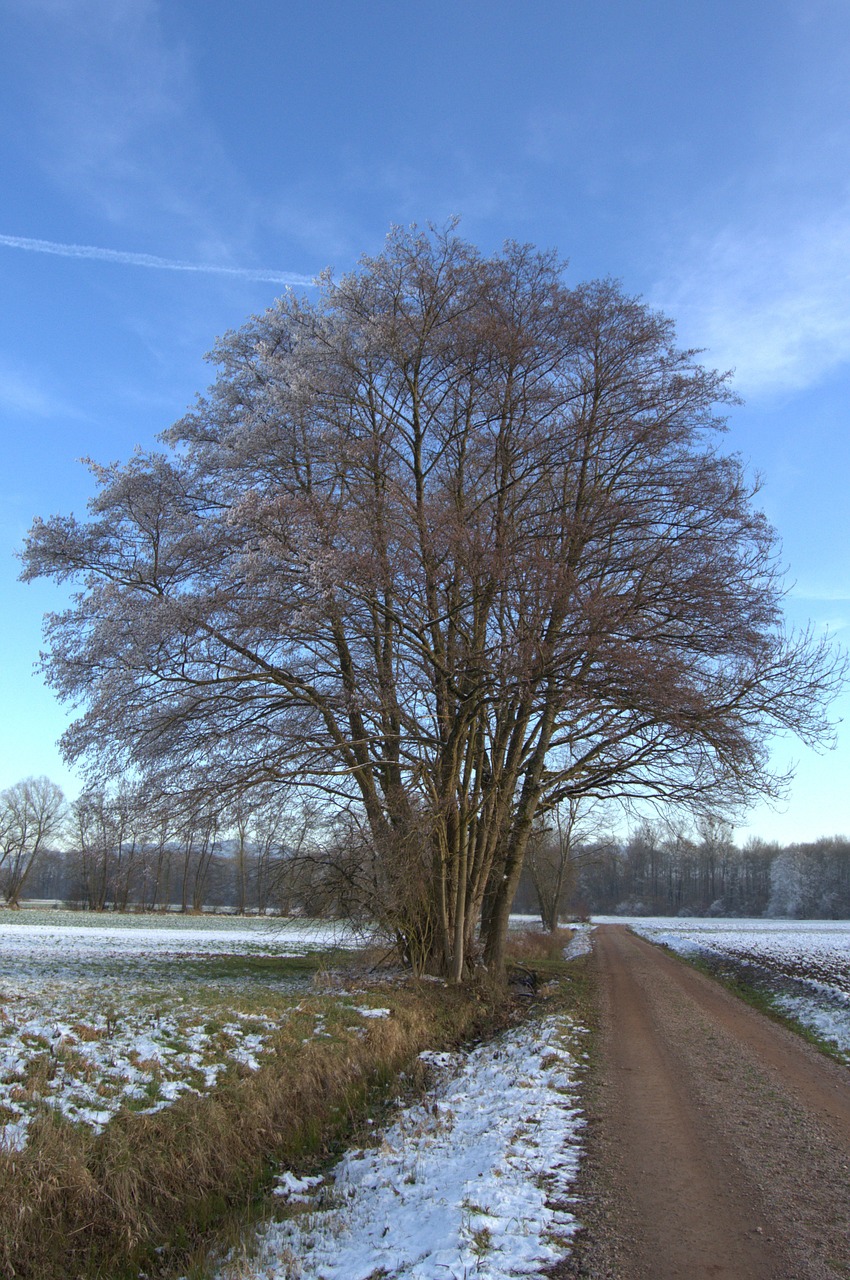 winter away snow free photo