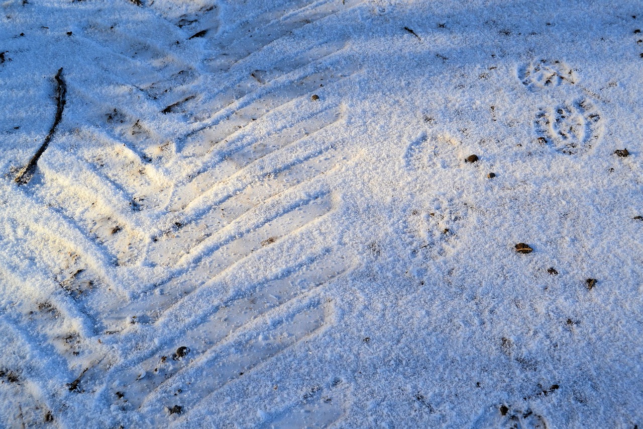 winter snow trace free photo