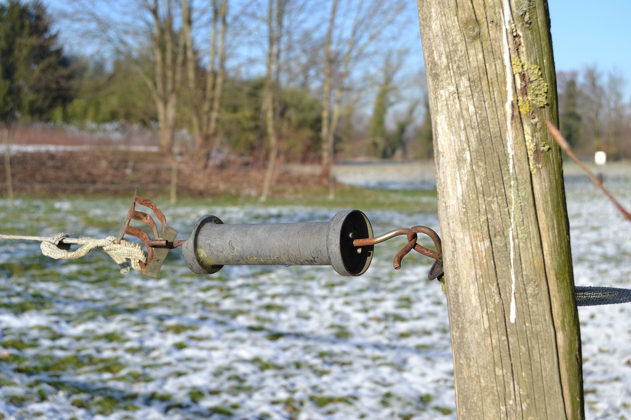 winter pasture fence handle free photo