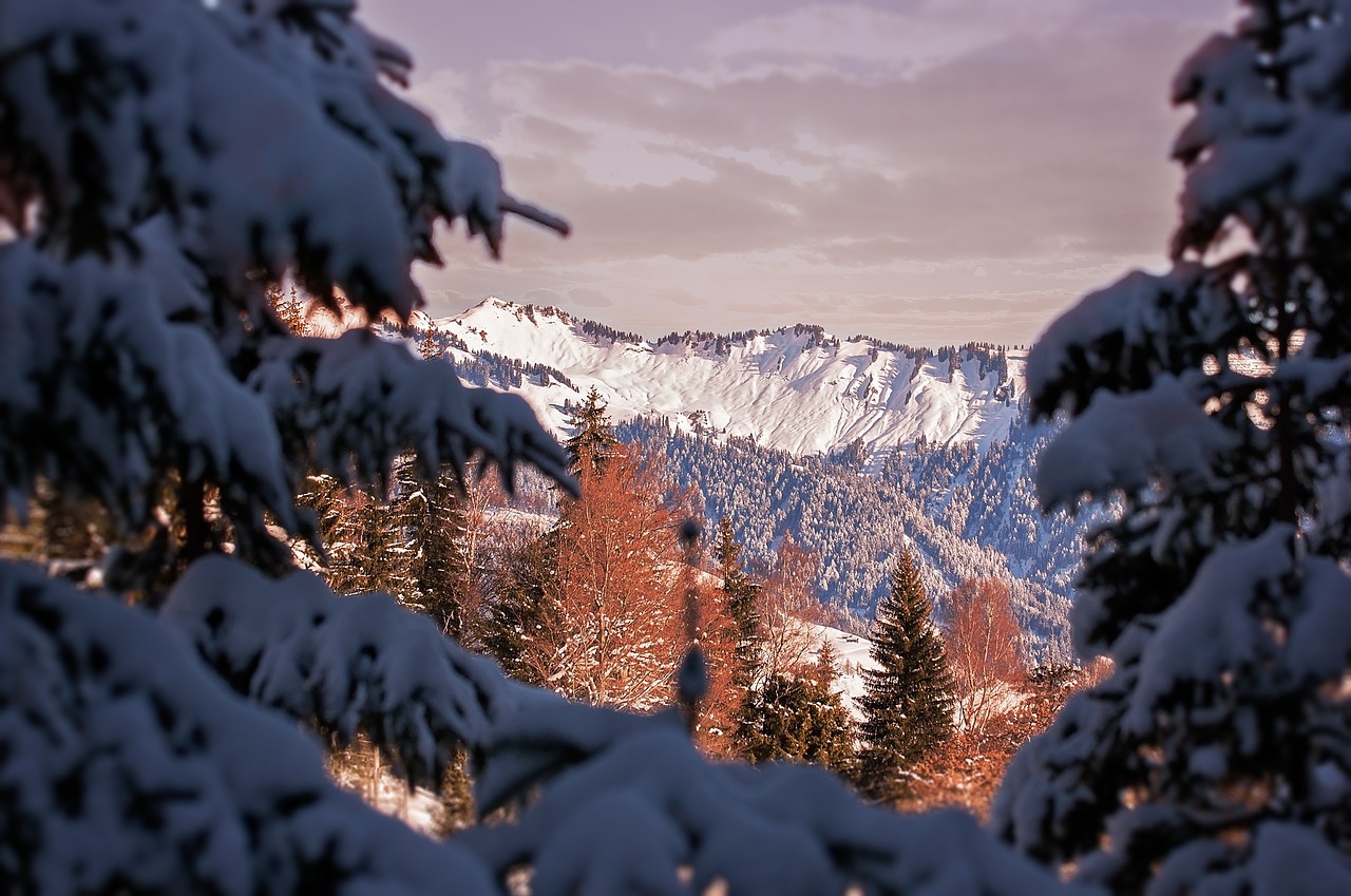 winter landscape mountains free photo