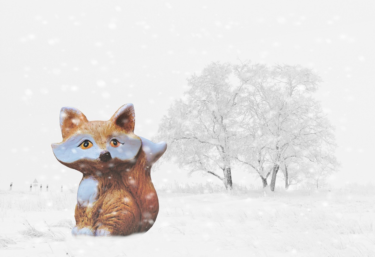 winter snow fuchs free photo