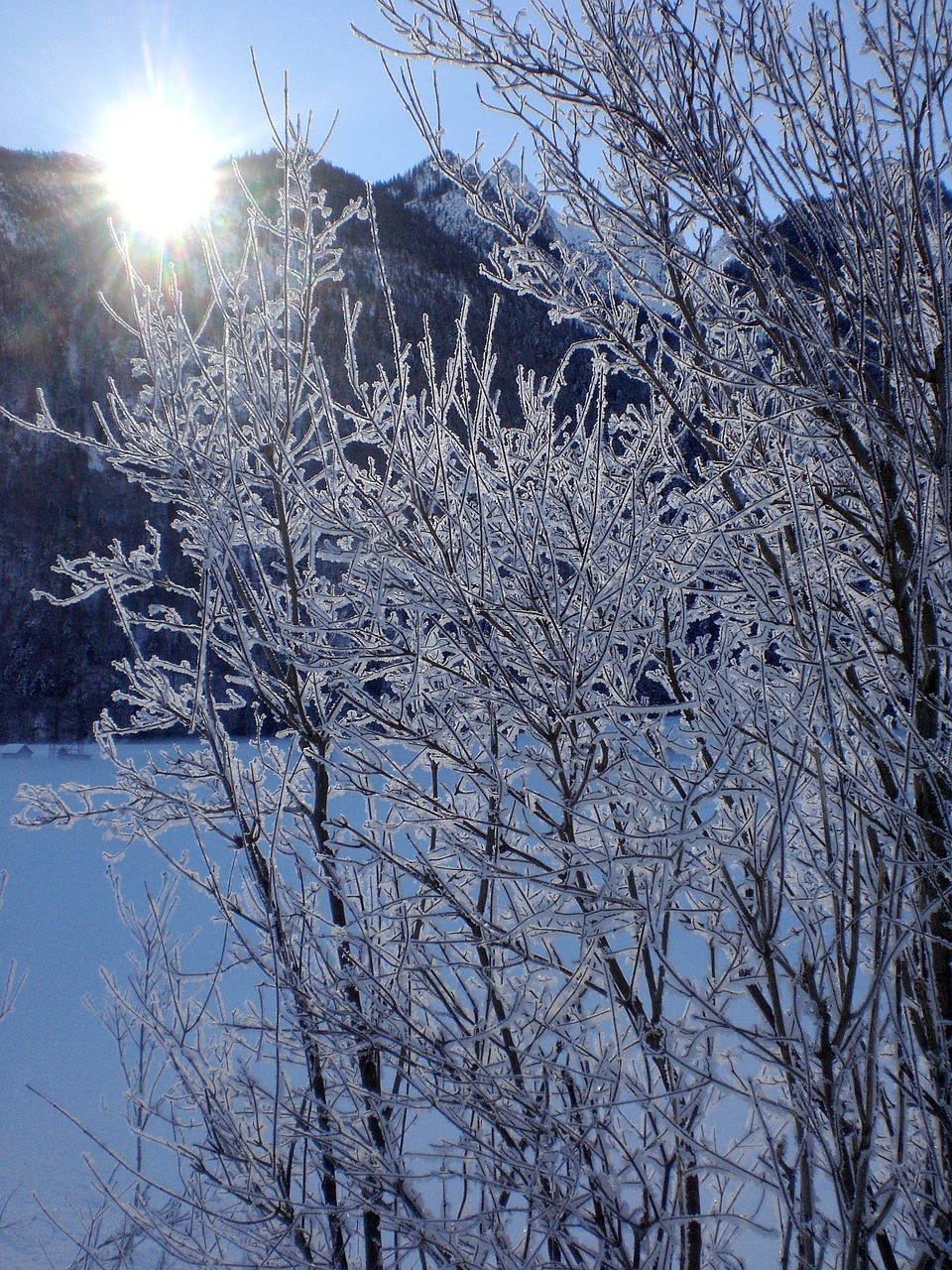 winter frost snow free photo