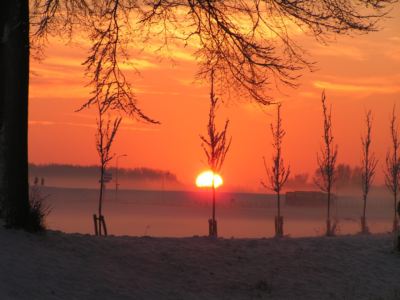 winter trees sunset free photo