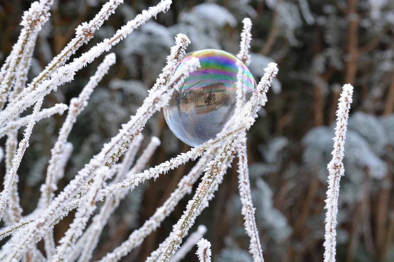 winter snow hoarfrost free photo