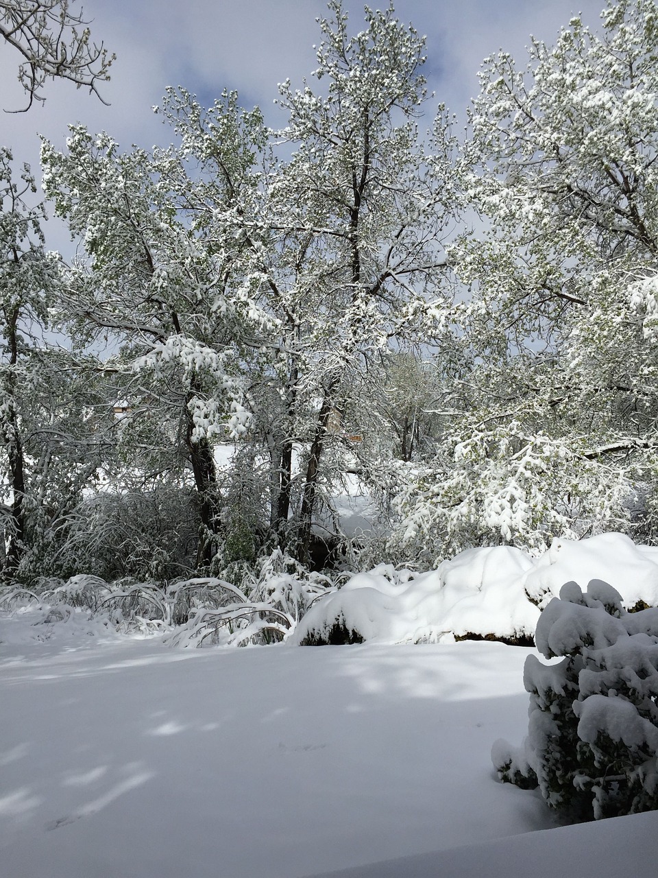 winter serene cold free photo