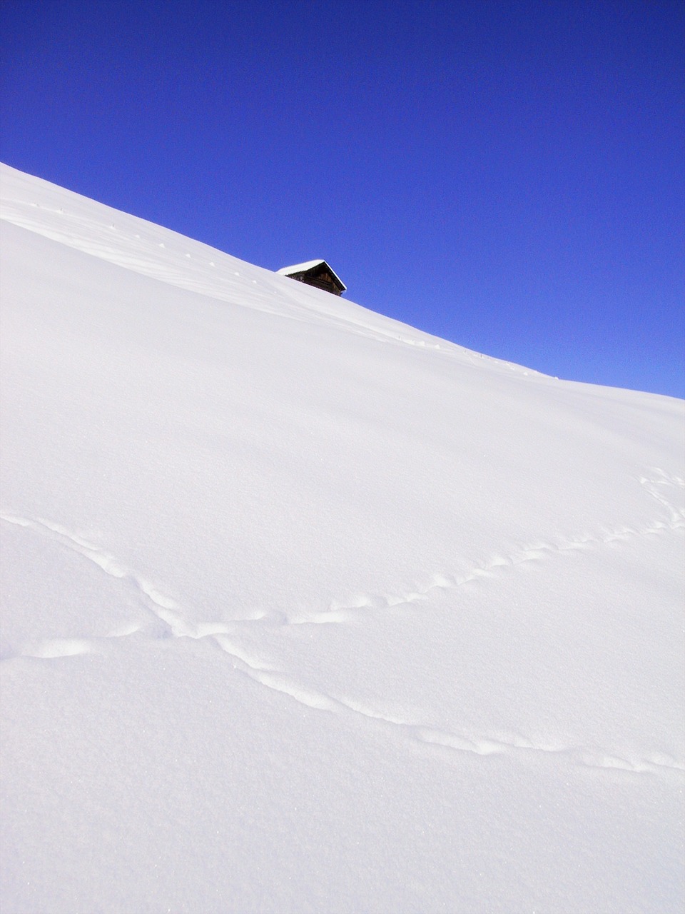 winter snow ice free photo