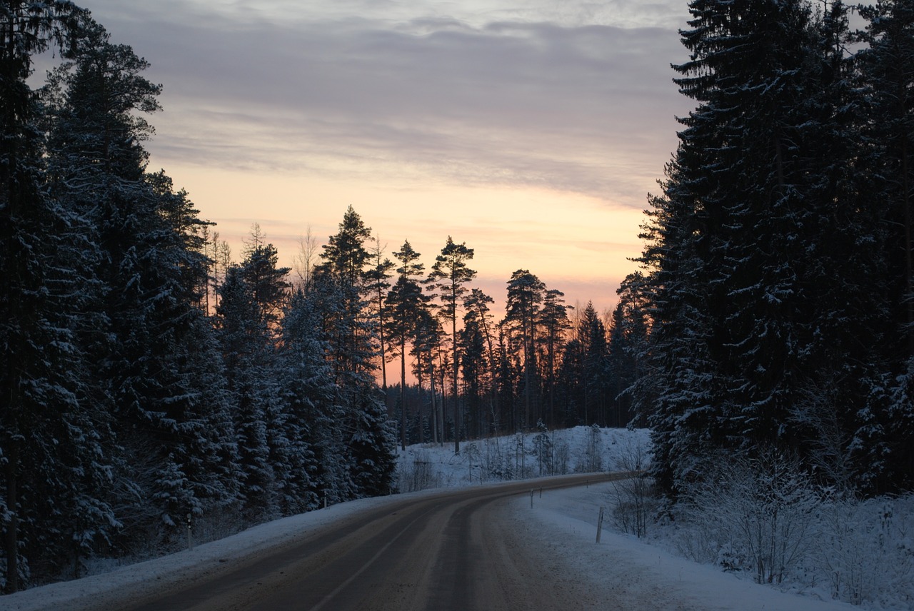 way road winter free photo