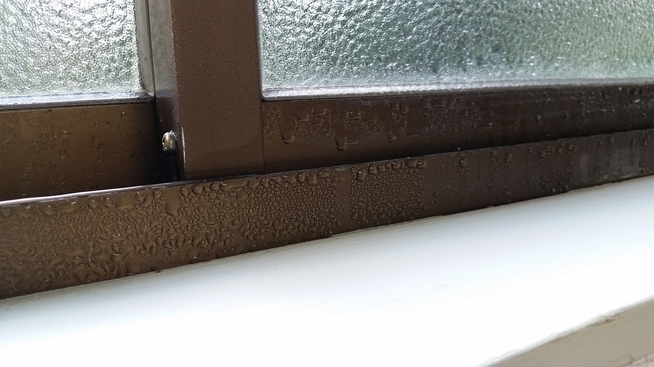 winter windows dew condensation free photo