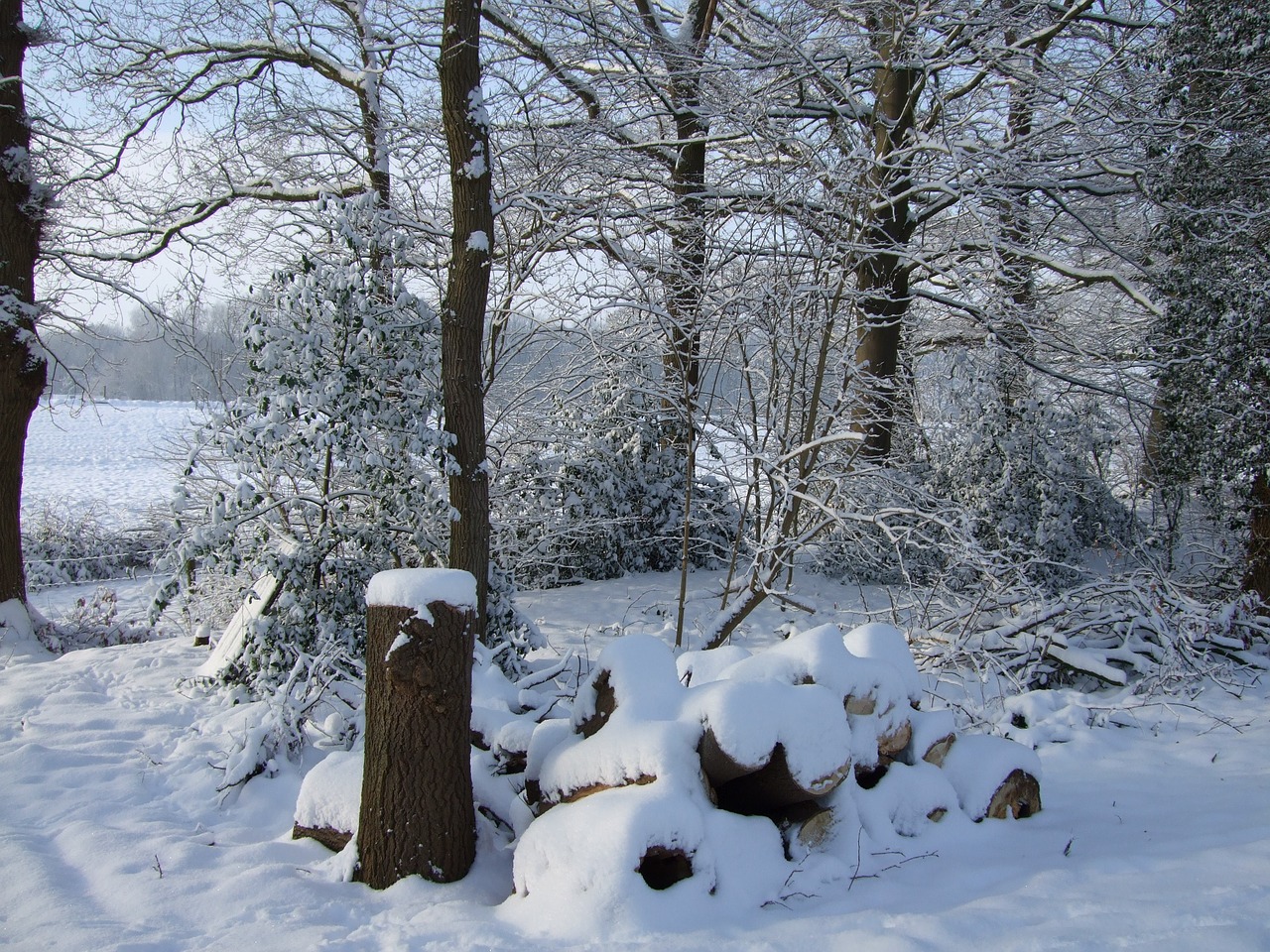 winter snow landscape free photo