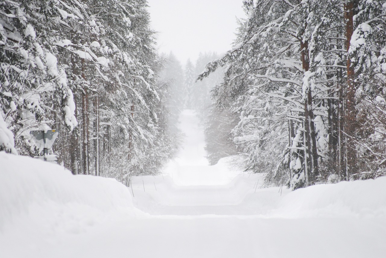 winter snow plow dykes free photo