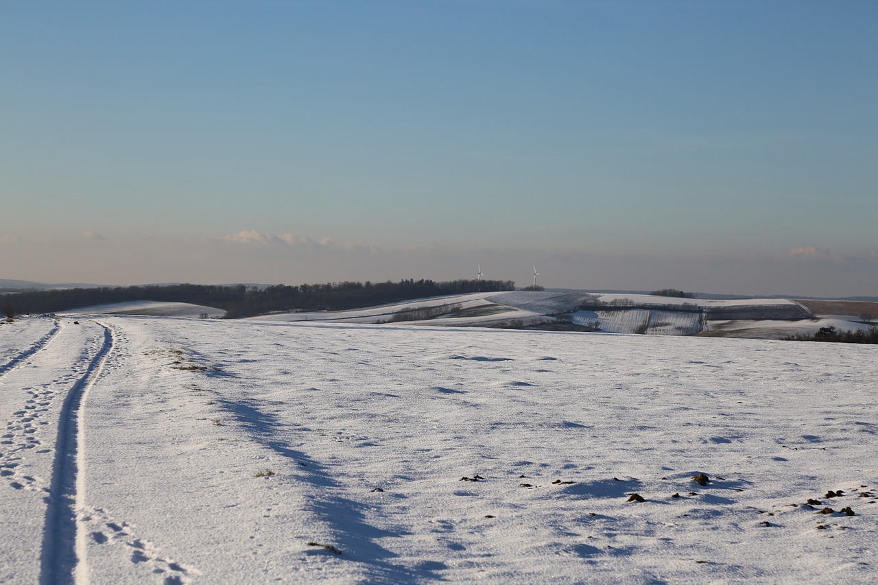 winter snow wintry free photo