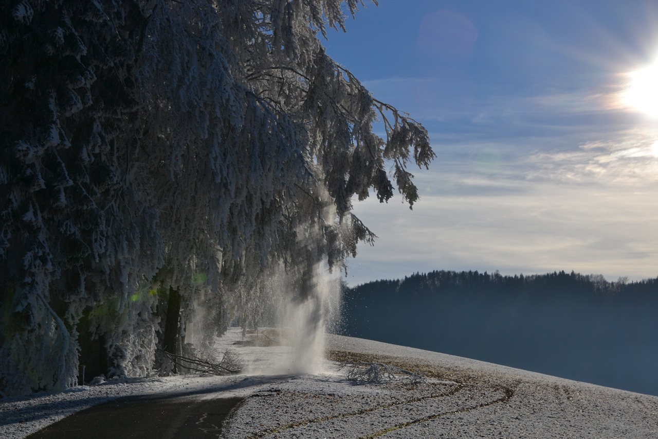 winter carinthia walk free photo