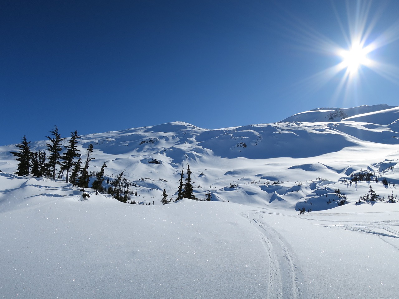 winter snow landscape free photo