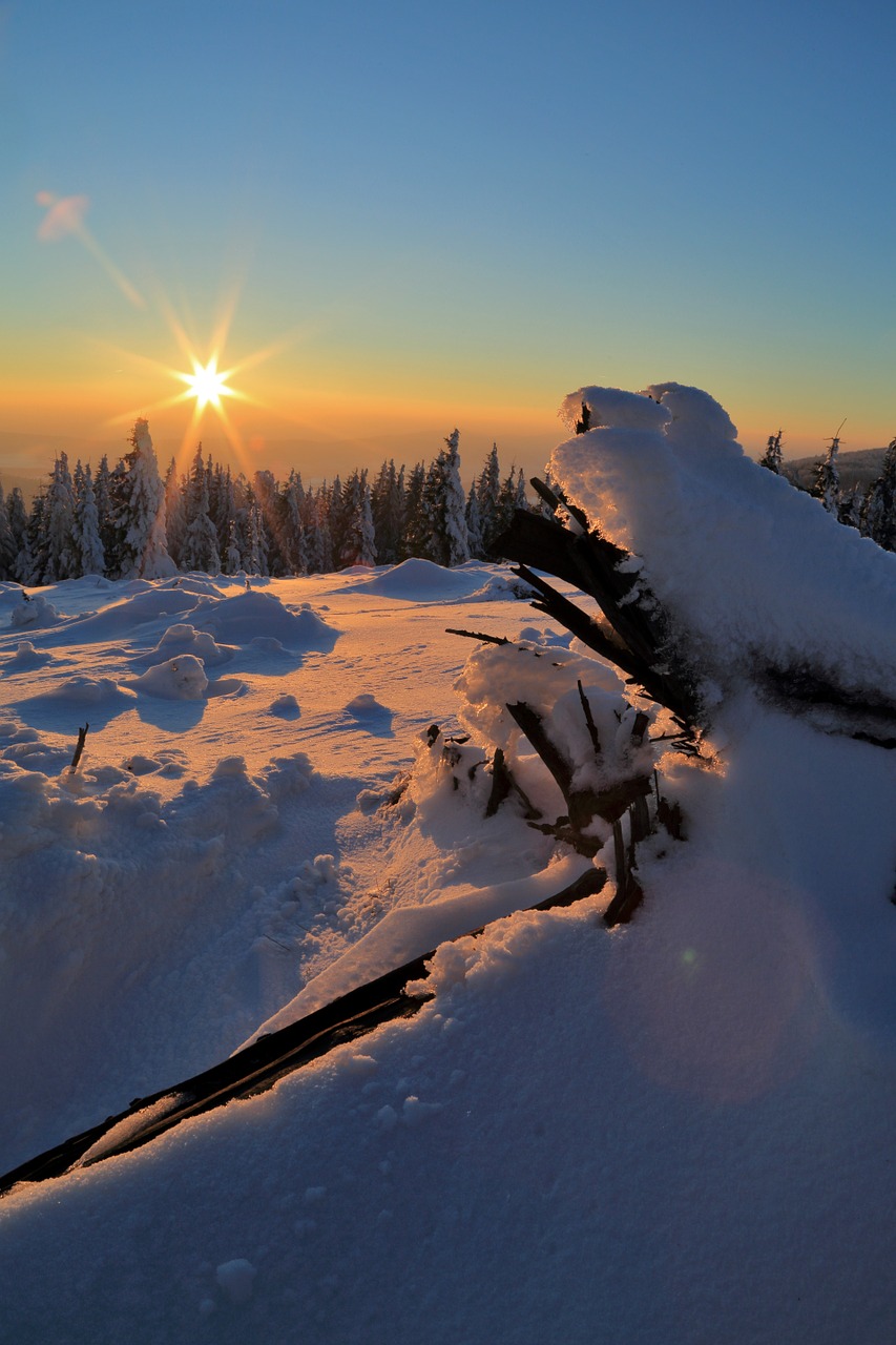 winter snow sunset free photo