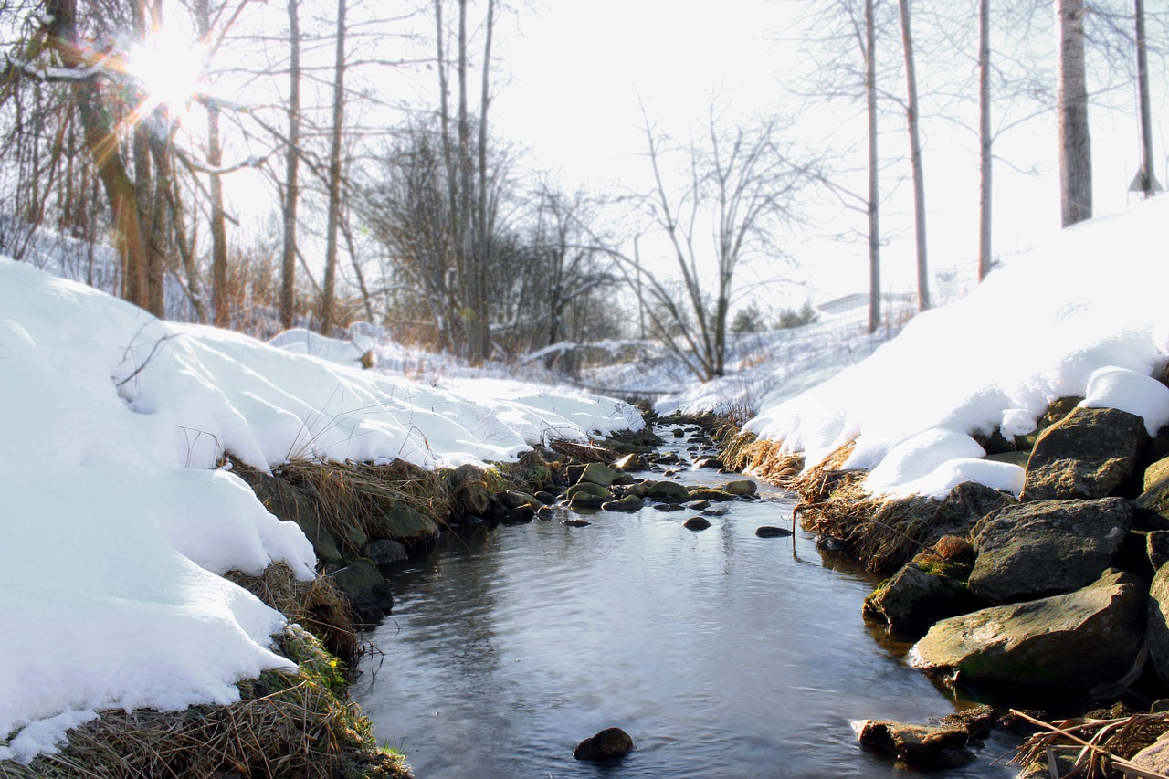 winter day the creek free photo