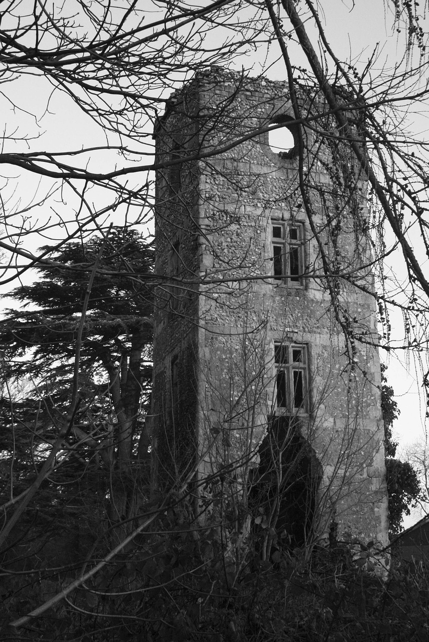 winter tower ruin free photo
