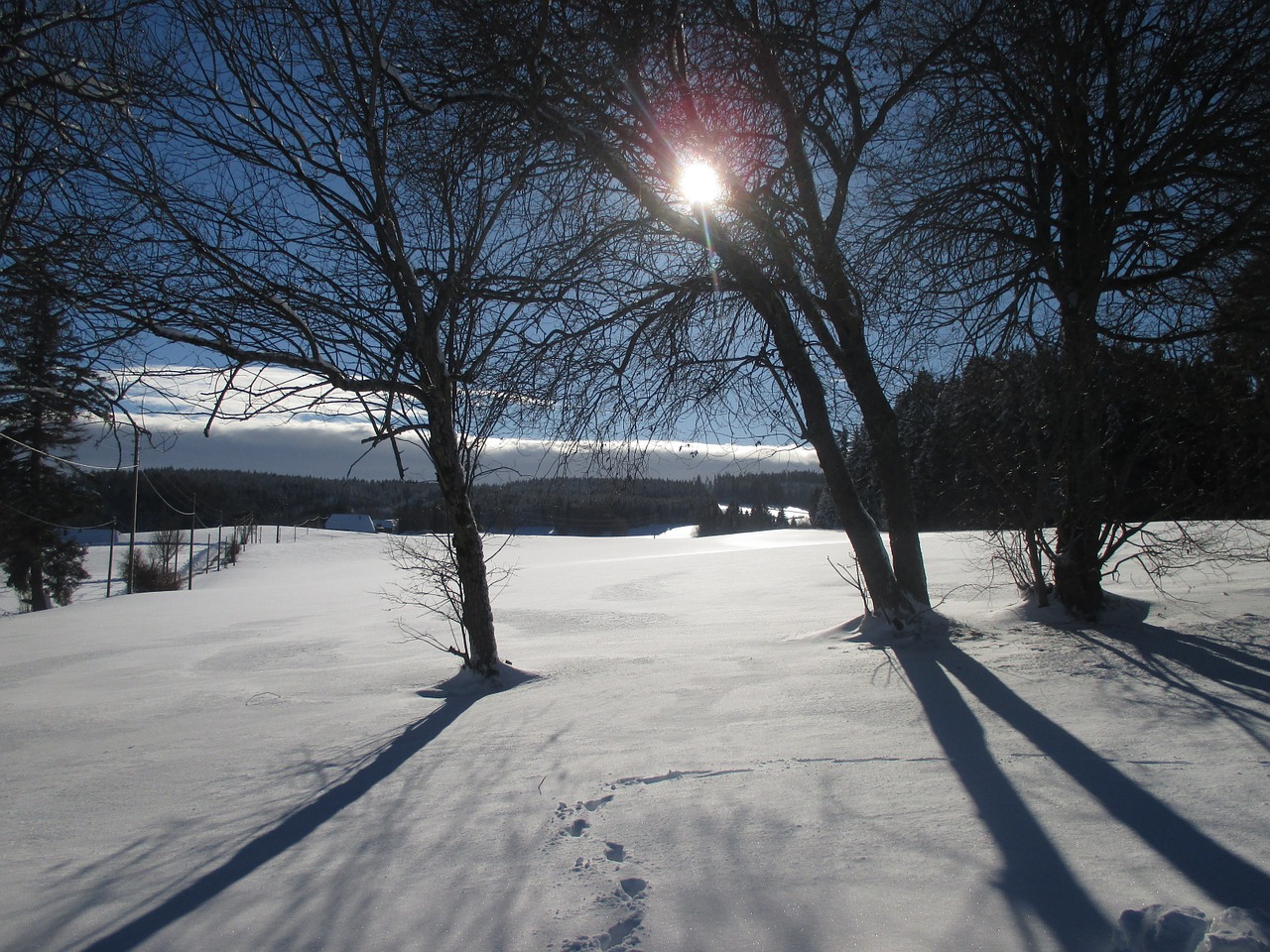 winter shadow sunshine free photo