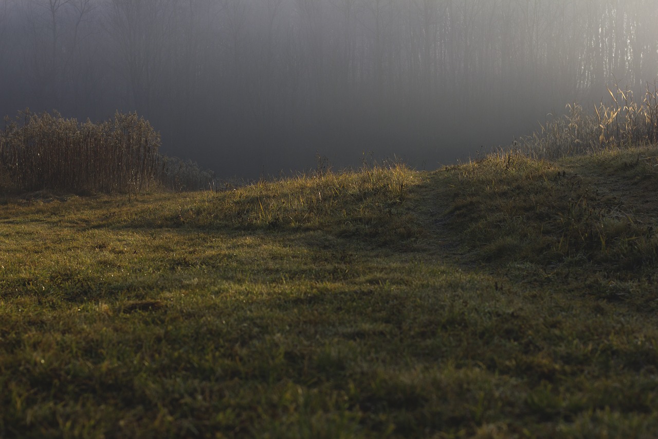 winter path morning free photo