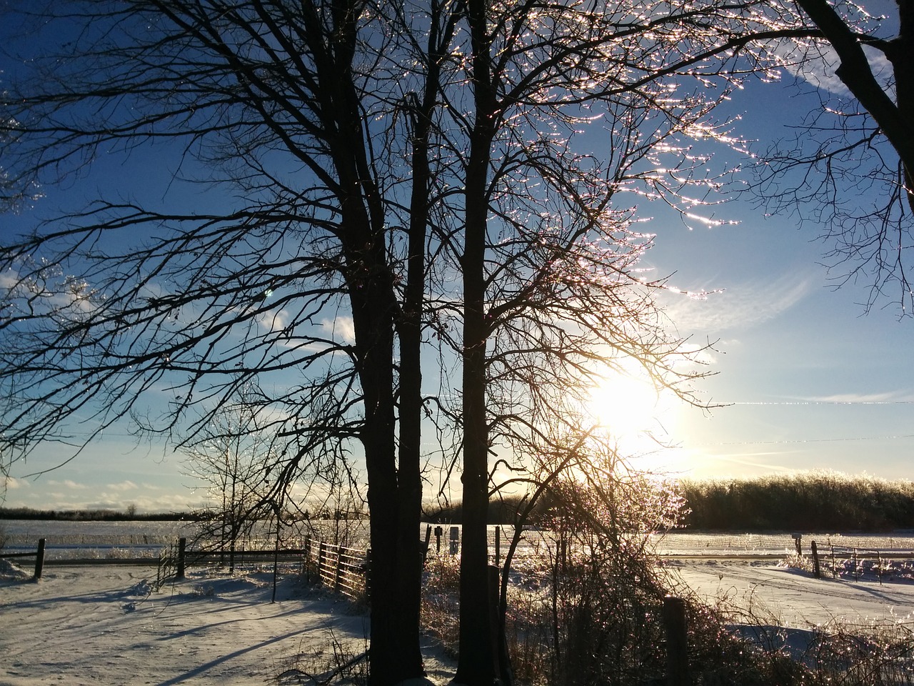 winter sunset countryside free photo