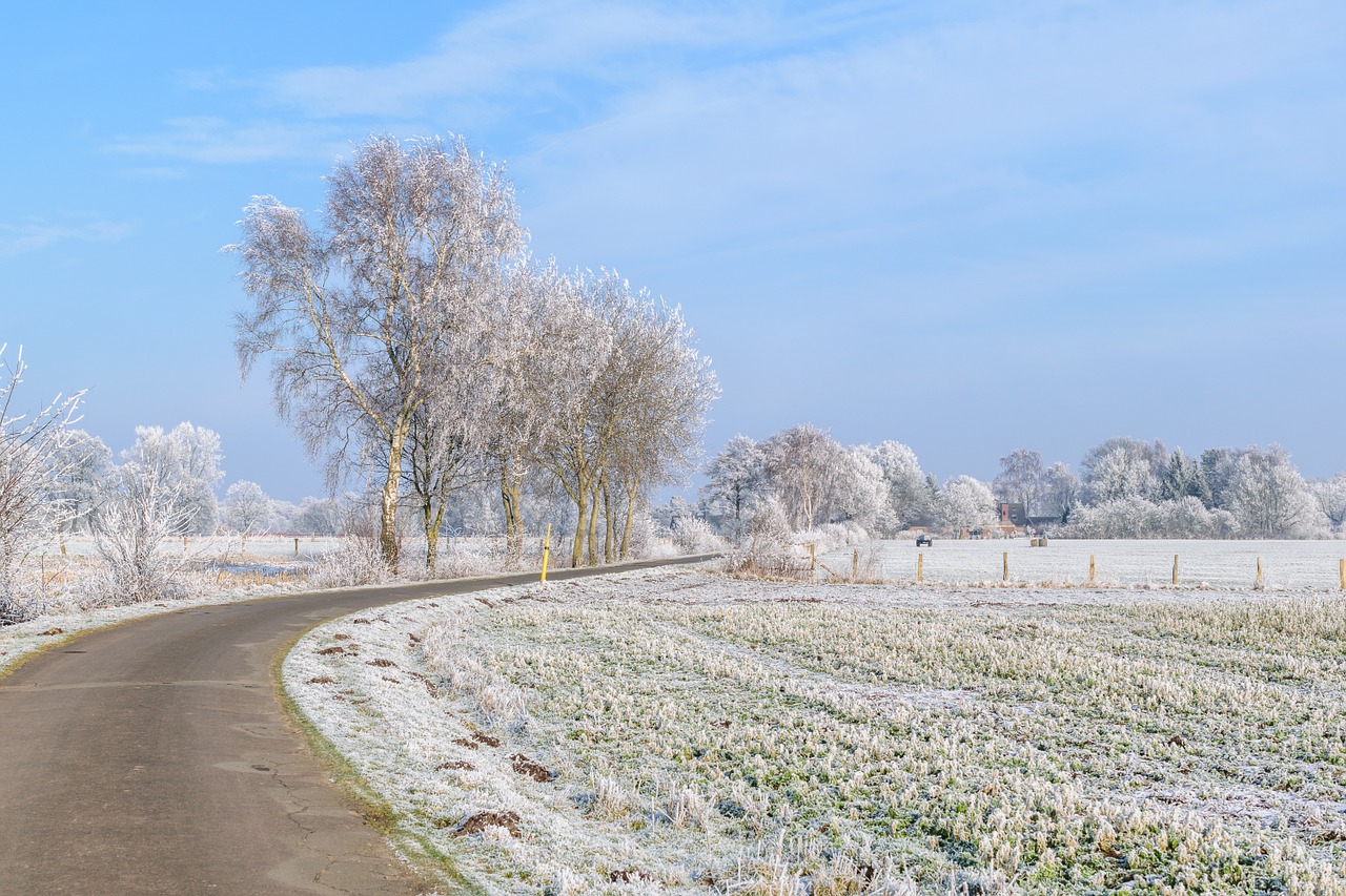 winter snow wintry free photo