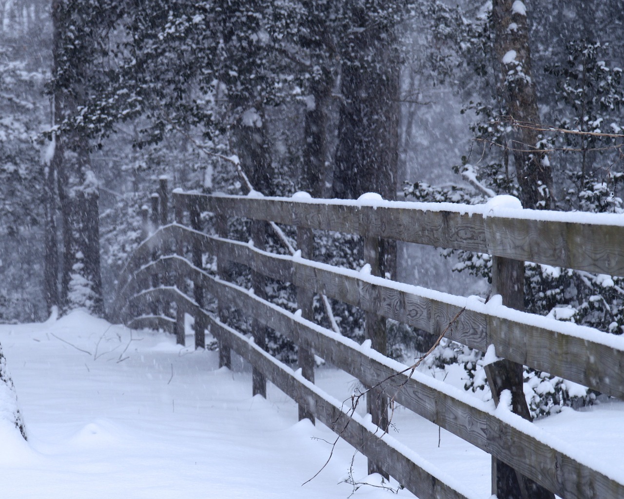 winter snow landscape free photo