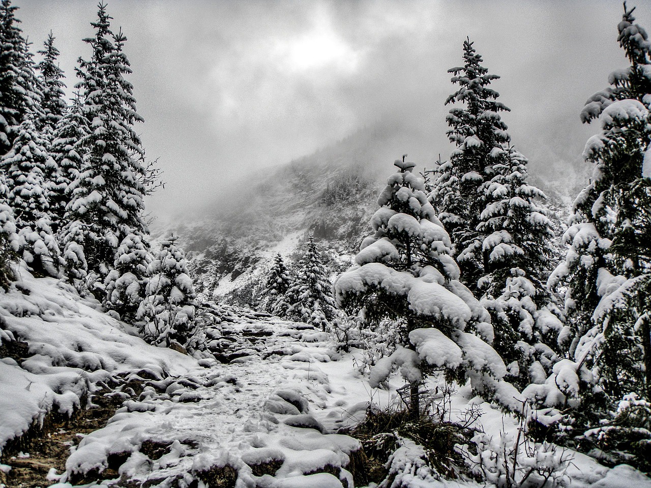 winter landscape snow free photo