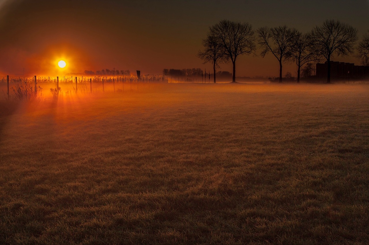 winter sentence meadow free photo