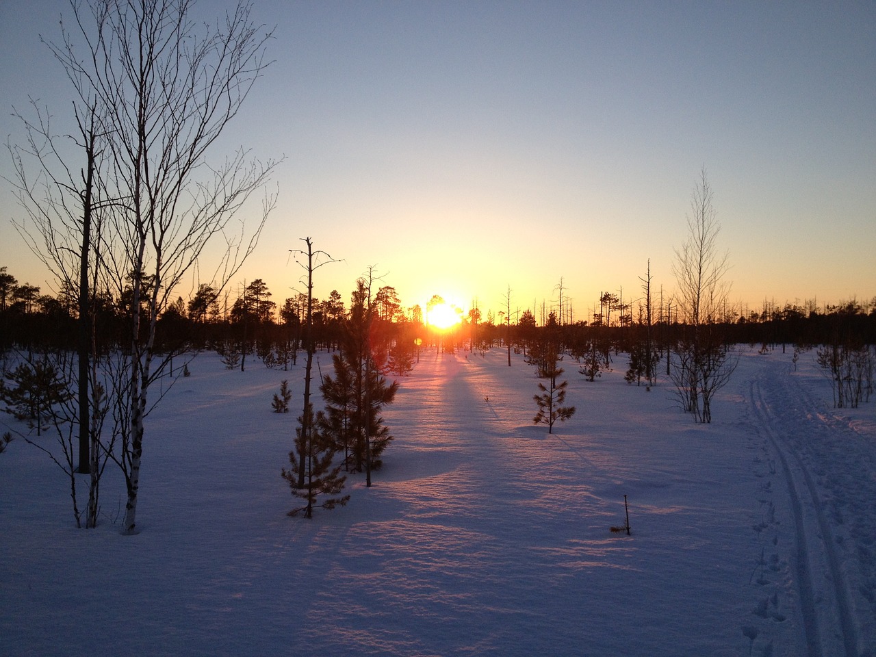 winter landscape nature free photo