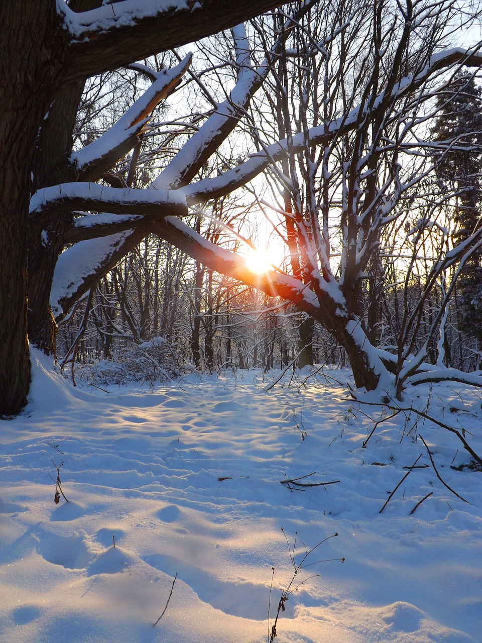 winter sunset snow free photo