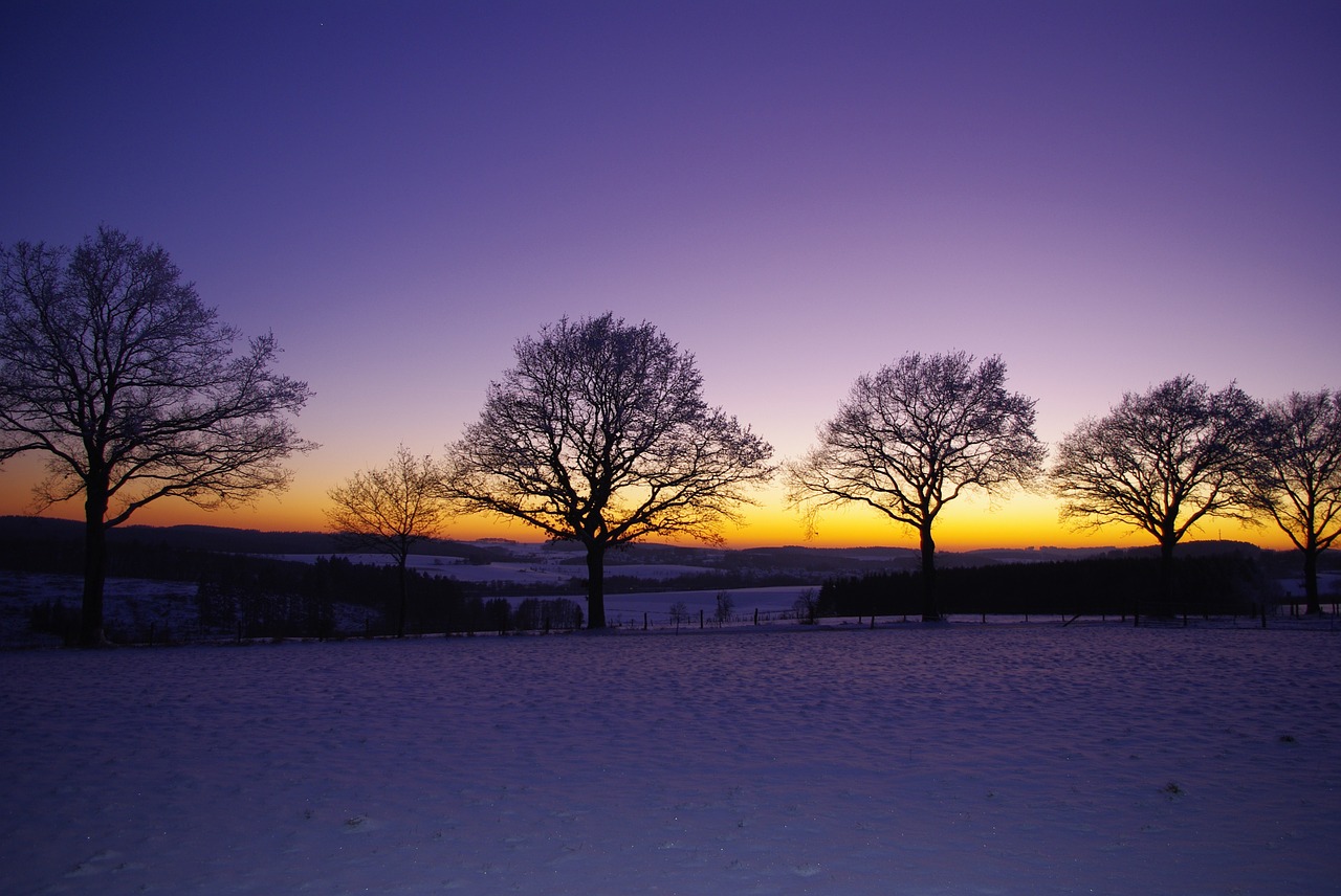 winter landscape snow free photo