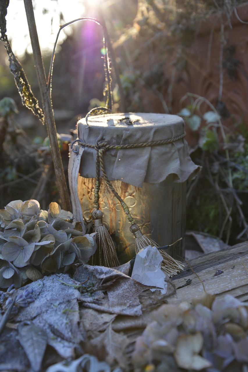 winter frost old glass free photo