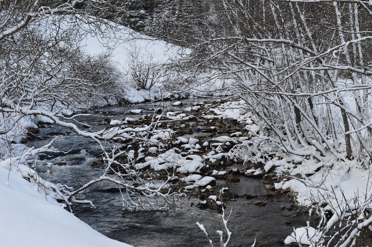 winter river ice free photo