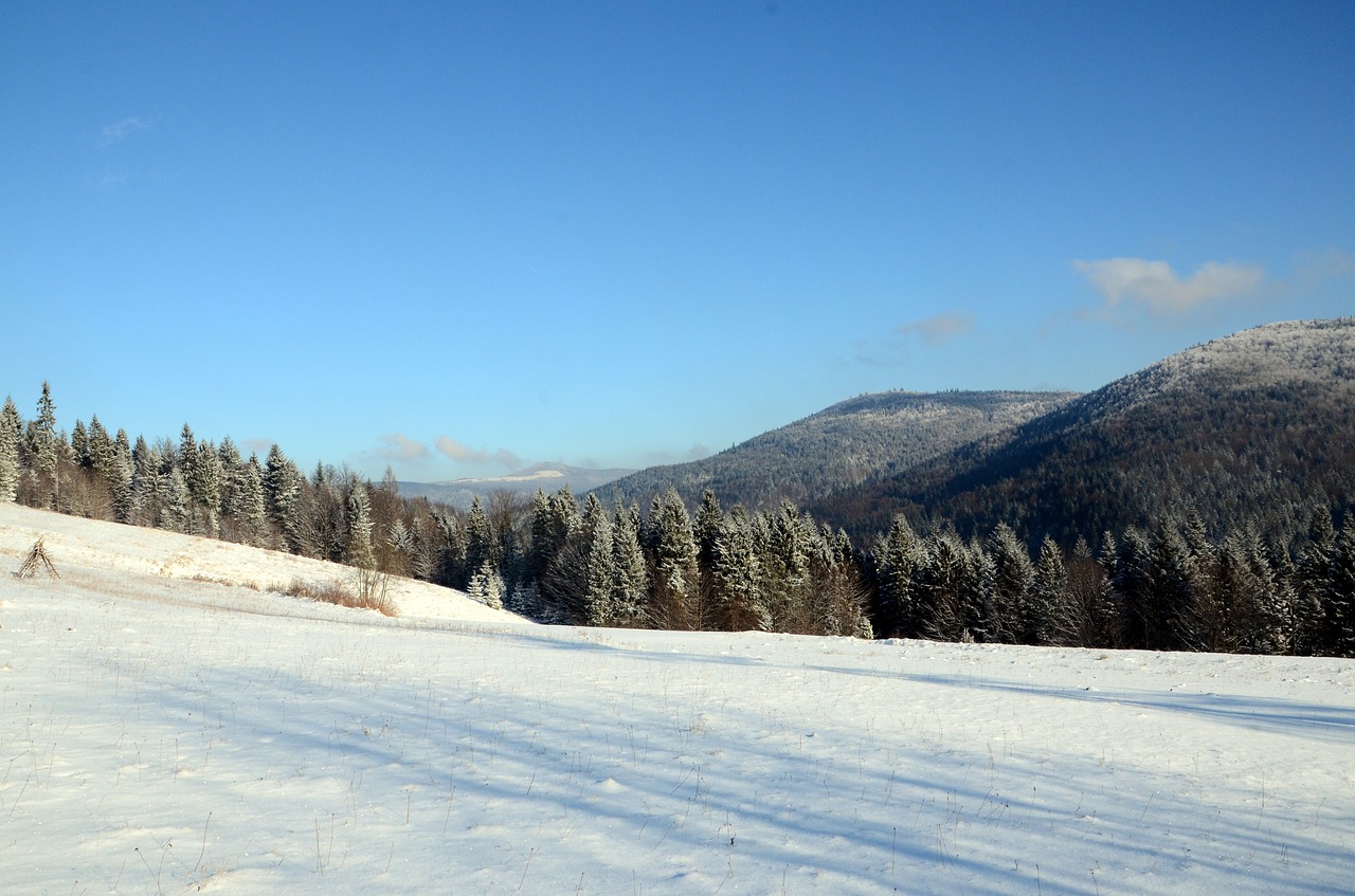 winter mountains snow free photo