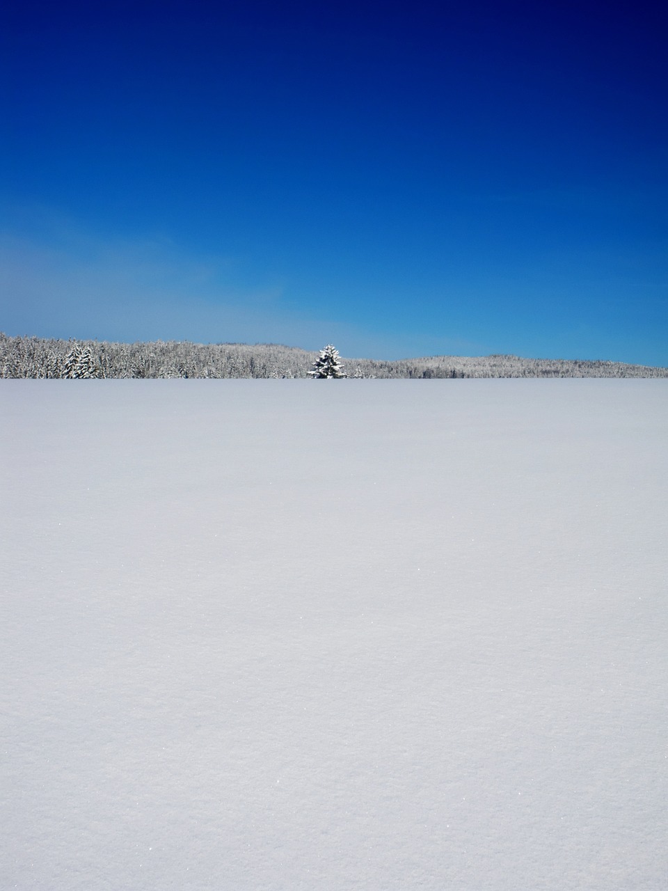 winter landscape nature free photo