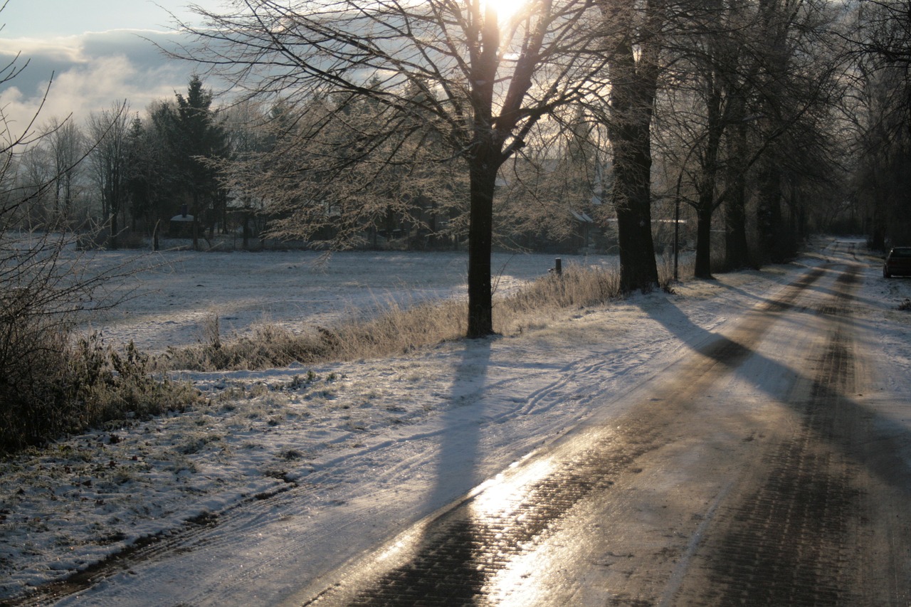 winter tree mirroring free photo