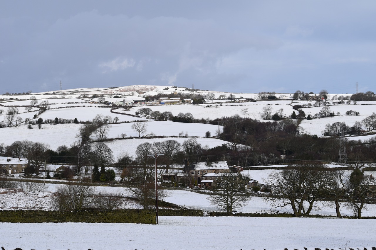 winter snow countryside free photo