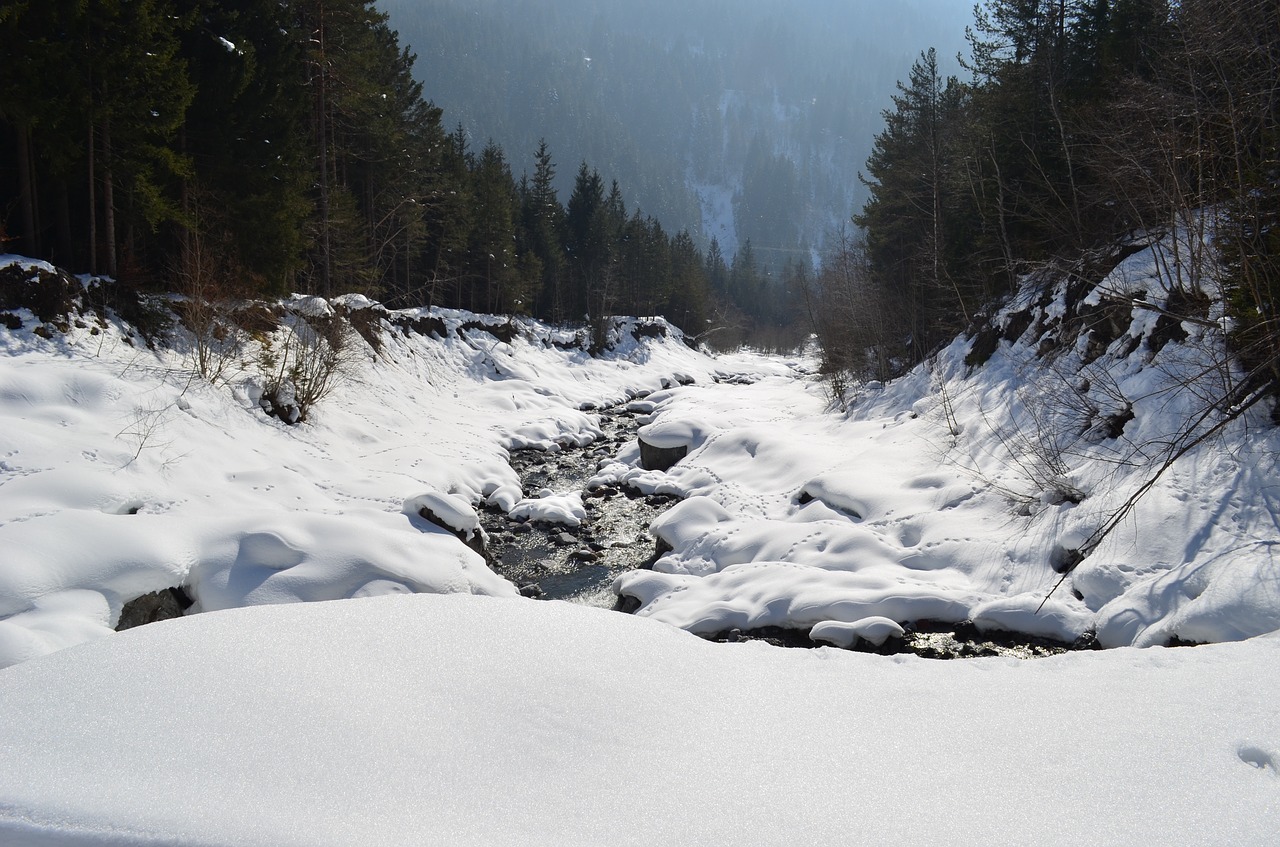 winter bach wintry free photo