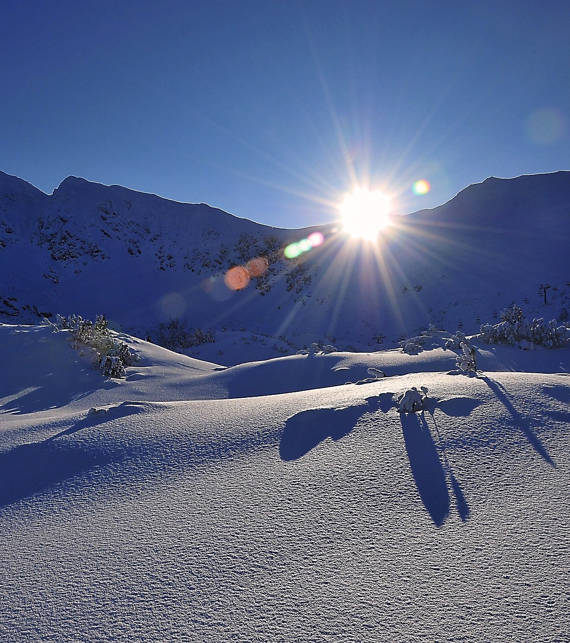 winter snow view winter free photo