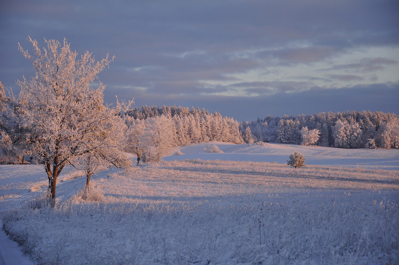 winter warmia way free photo