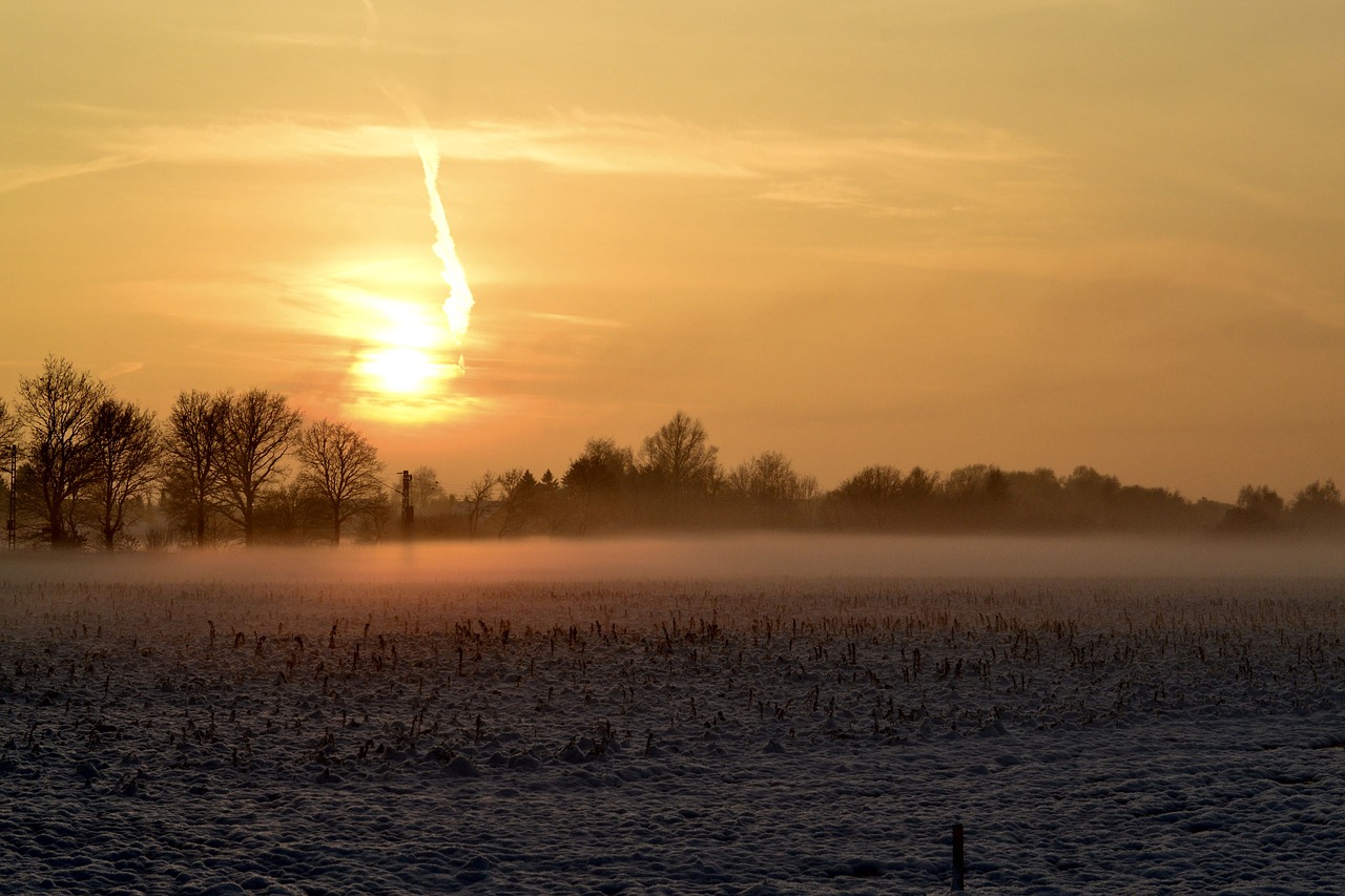 winter frost snow free photo