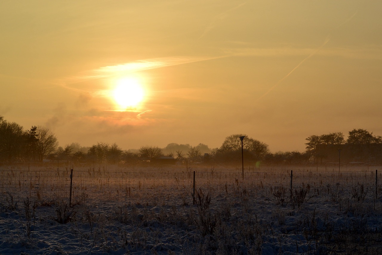 winter frost snow free photo