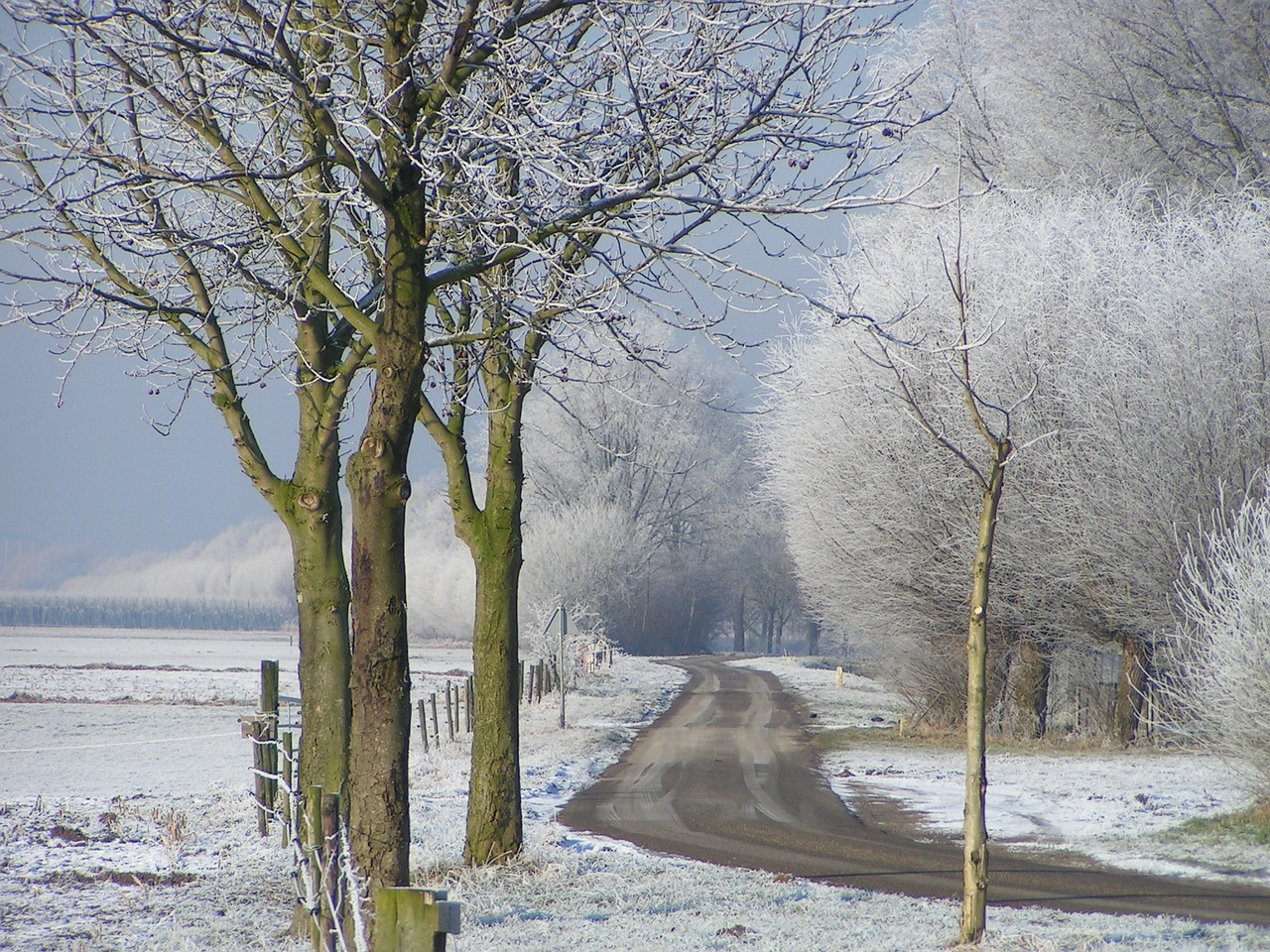 winter ripe landscape free photo