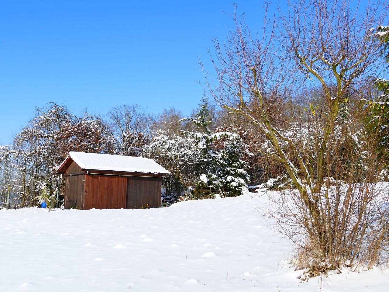 winter snow wintry free photo