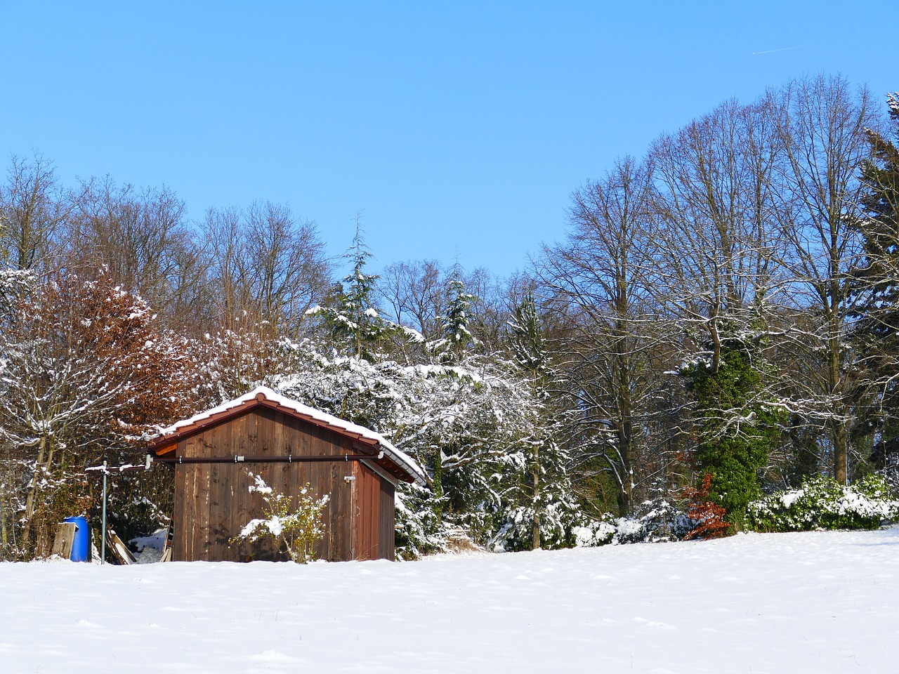 winter snow wintry free photo