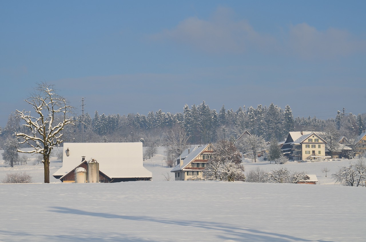 winter snow wintry free photo